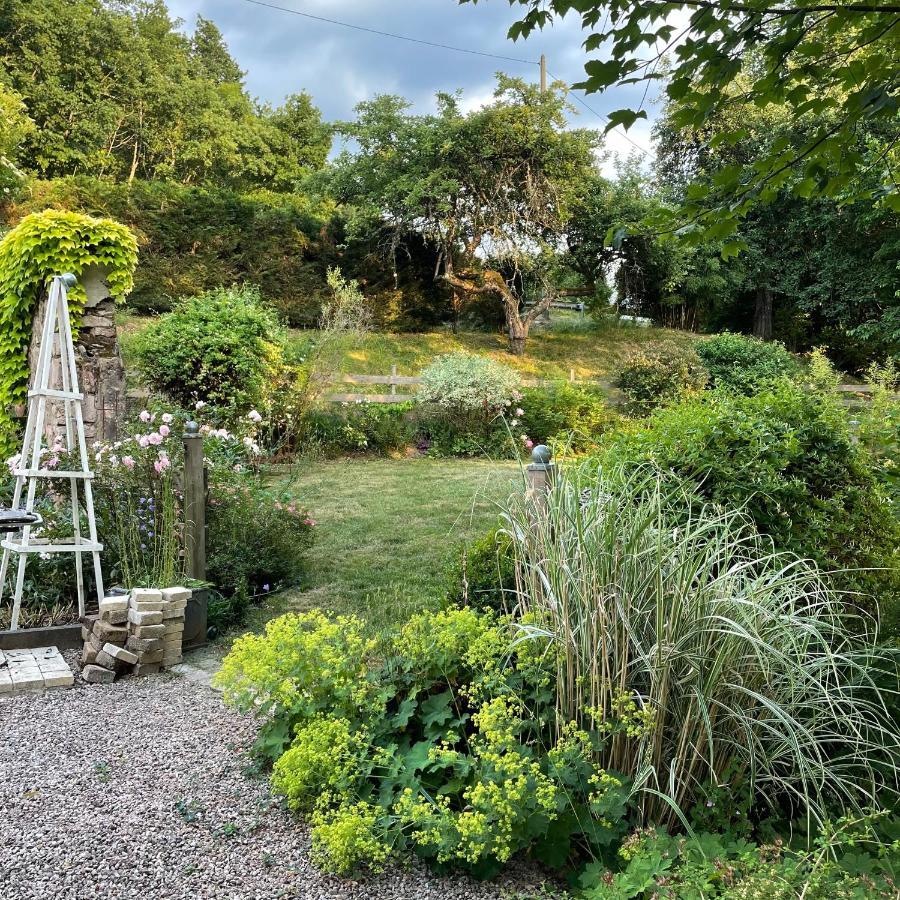 Le Moulin De L Epine Villa Taintrux Kültér fotó